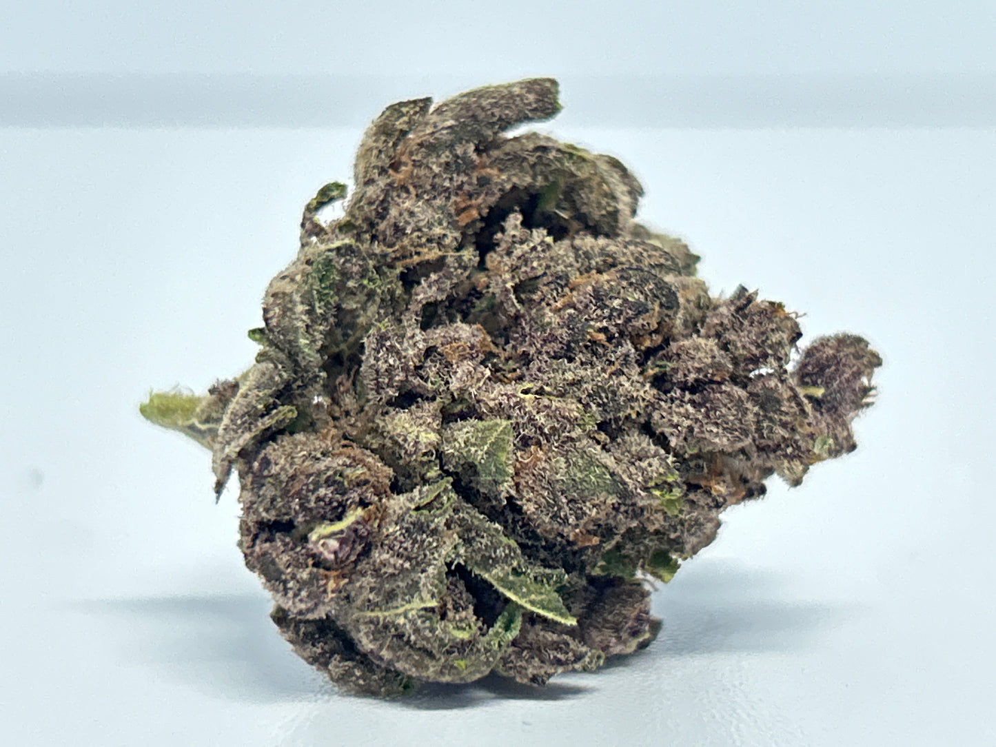 Gorilla Sk
